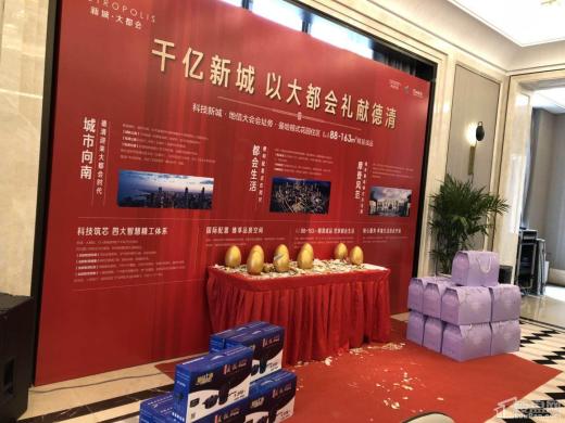 新城大都会效果图